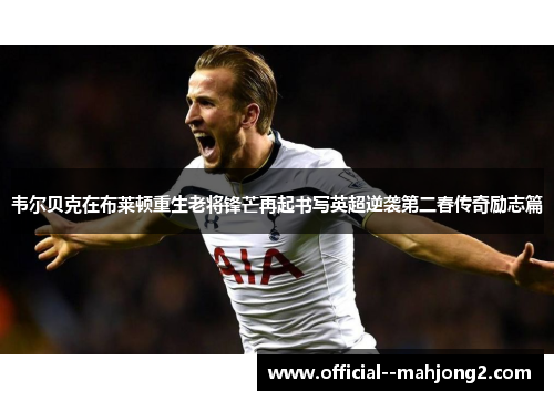 韦尔贝克在布莱顿重生老将锋芒再起书写英超逆袭第二春传奇励志篇